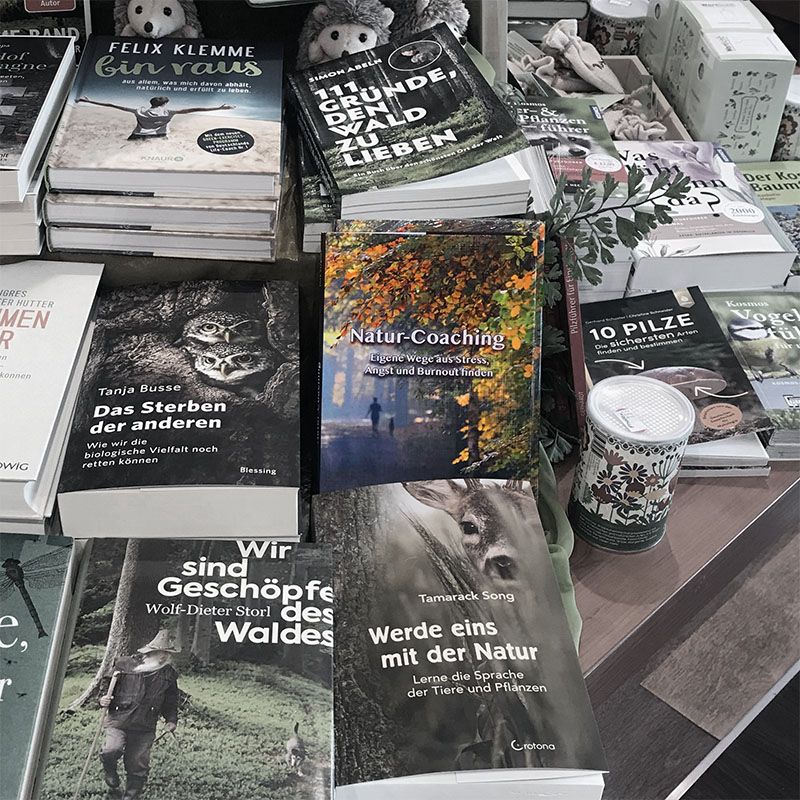 Dirk Stegner Autor und Naturcoach